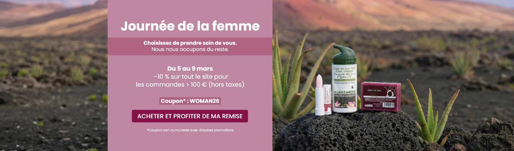–10 % sur tout le site pour les commandes supérieures à 100 €.
