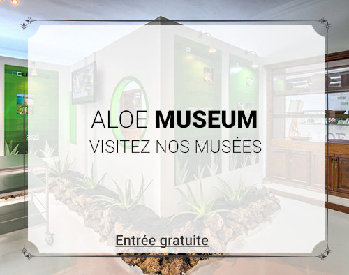 Museo Aloe Vera