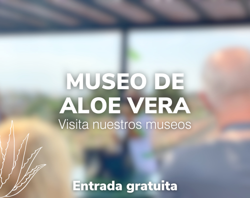 Museo Aloe Vera