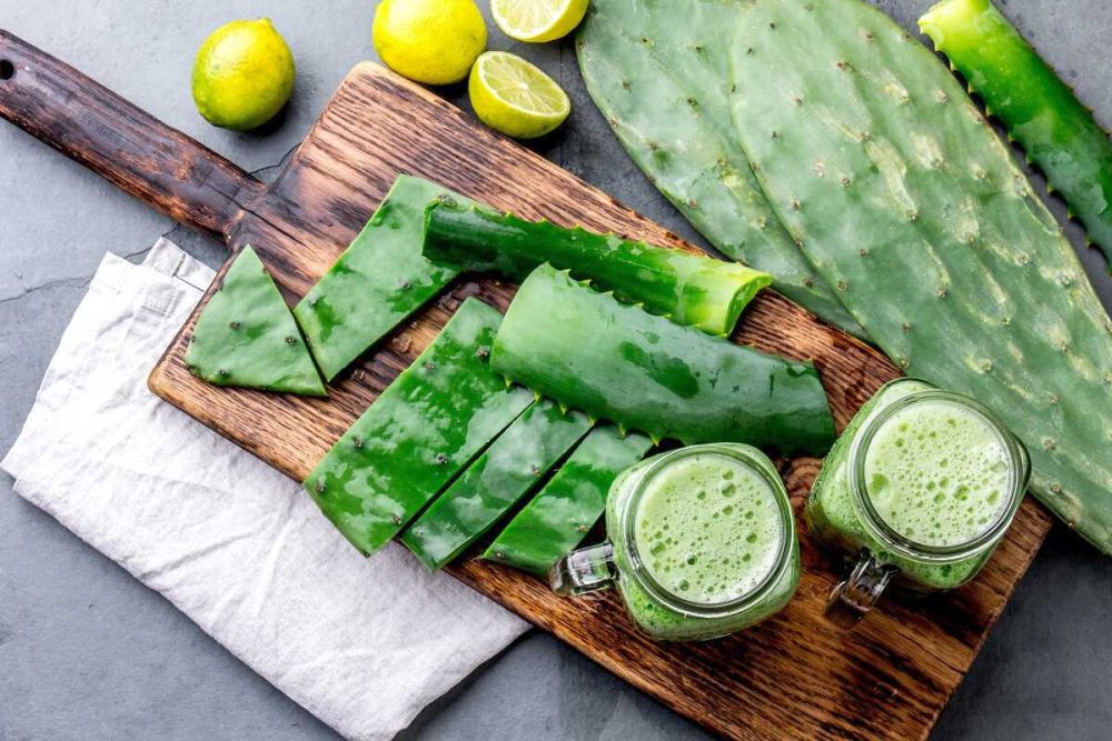 Cómo se puede comer el aloe vera? | Aloe Plus