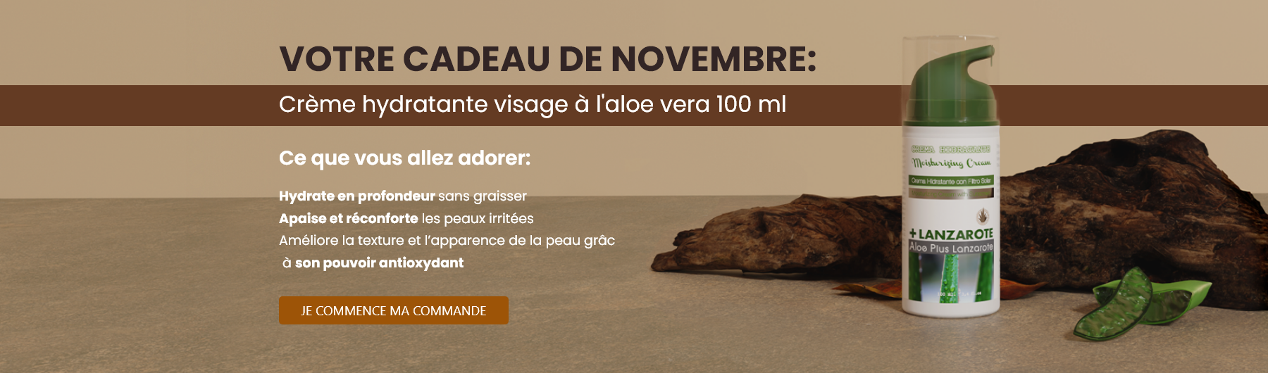 Votre cadeau de novembre : Crème hydratante visage à l'aloe vera 100 ml
